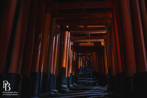 A succession of illuminated vermilion torii gates at Fushimi Inari in Kyoto, surrounded by deep night shadows.